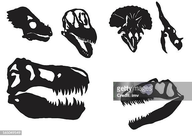 dinosaur skulls - prehistoric era stock illustrations