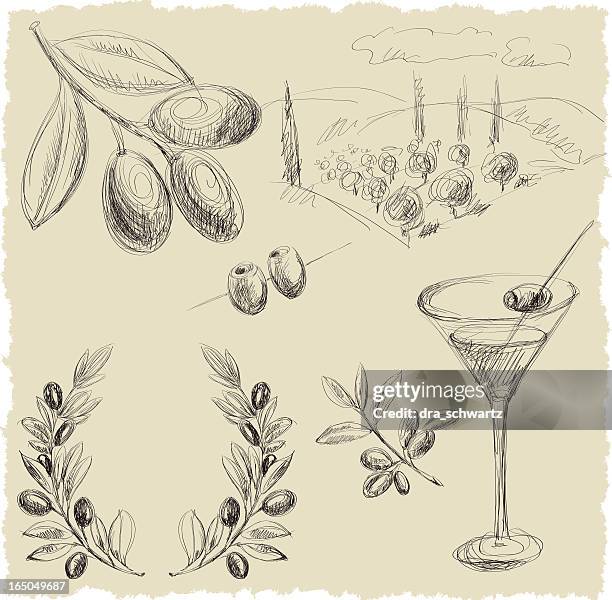 olive - olive tree stock illustrations