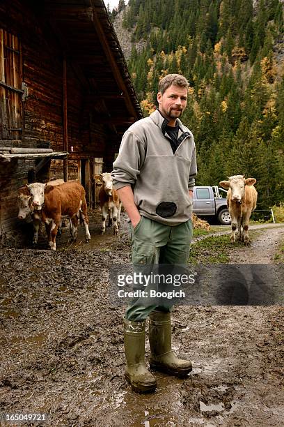suíça agricultor está na quinta com vacas em montanhas - swiss culture imagens e fotografias de stock