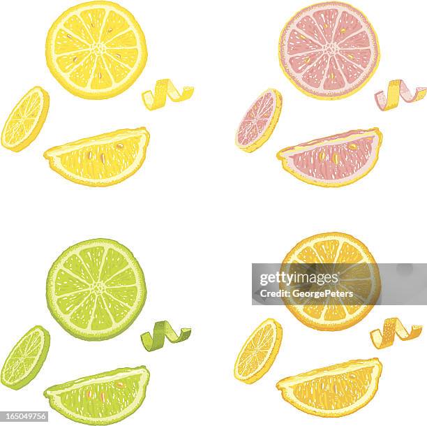 ilustraciones, imágenes clip art, dibujos animados e iconos de stock de rebanadas de frutas cítricas y cuñas - mondo