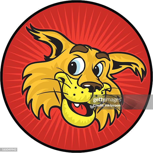 ilustraciones, imágenes clip art, dibujos animados e iconos de stock de lince rojo - lince