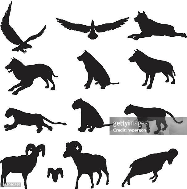 animal silhouette collection - ram animal stock illustrations
