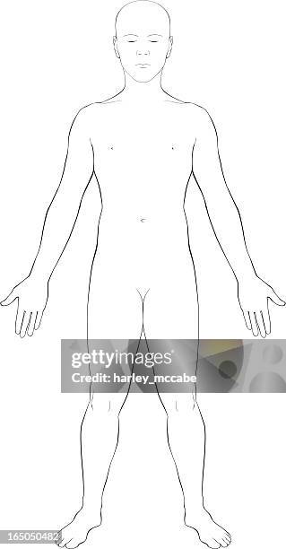 human body surface anatomy - outline - human body outline stock illustrations