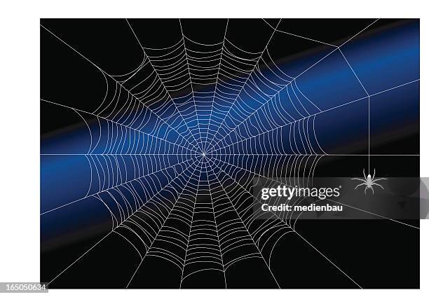 the almost perfect spiderweb - spider 幅插畫檔、美工圖案、卡通及圖標