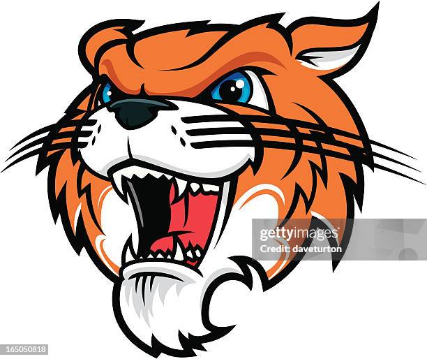 tiger roar - wildcat mascot stock illustrations