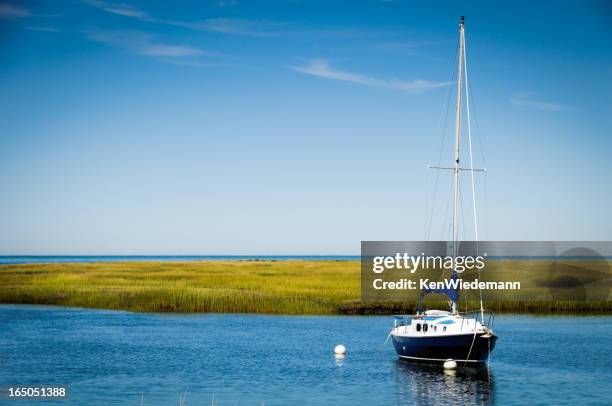 blue and white sailboat - cape cod stockfoto's en -beelden