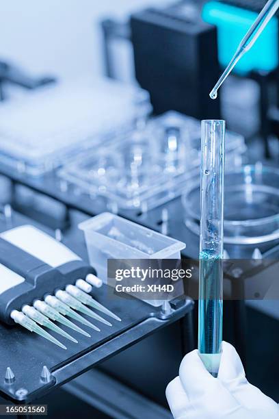 analyzing samples - cleanroom bildbanksfoton och bilder