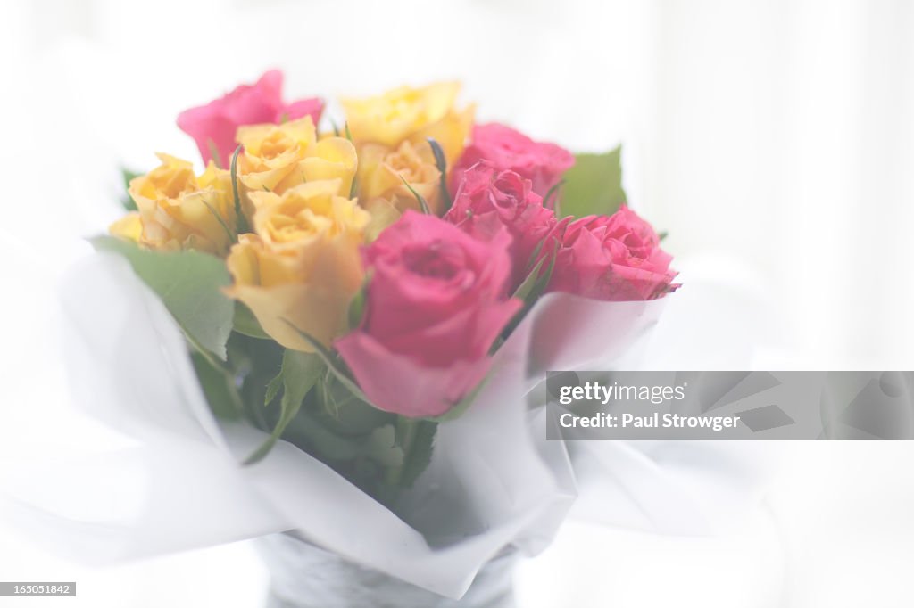 Yellow and Pink Roses