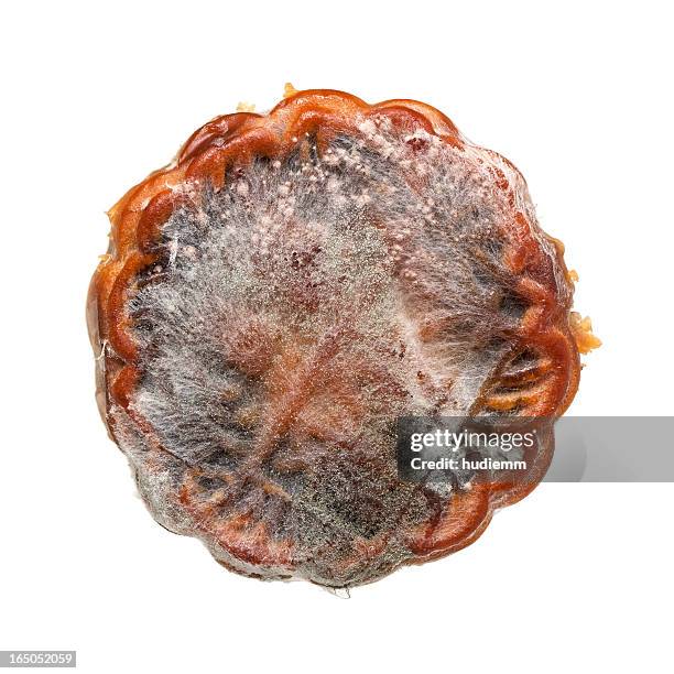 moldy mooncake isolated on white background - moldy bread stock pictures, royalty-free photos & images