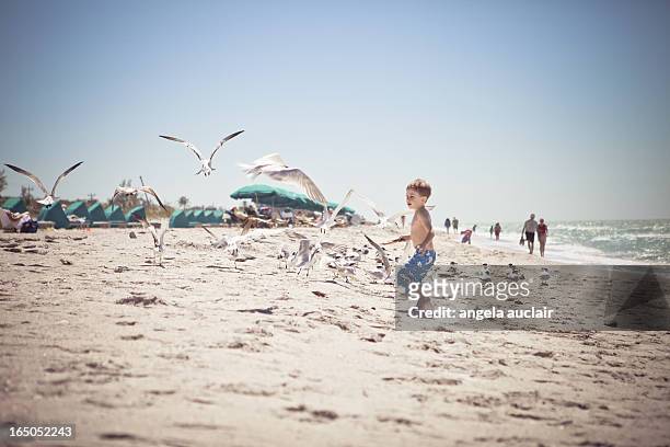 there will be many beach photos upcoming. - captiva island florida stock pictures, royalty-free photos & images
