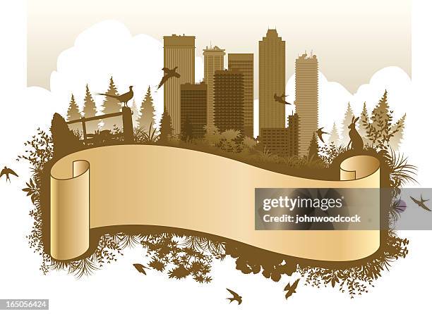 city scroll - pheasant stock illustrations
