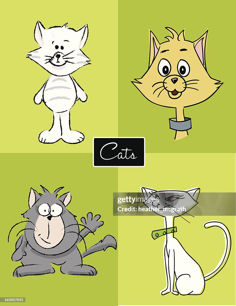 Katzen