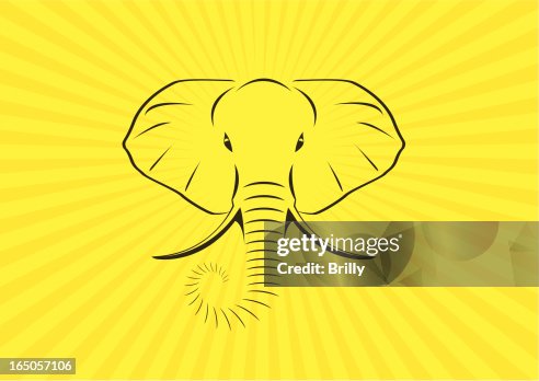 Elephant Elephant