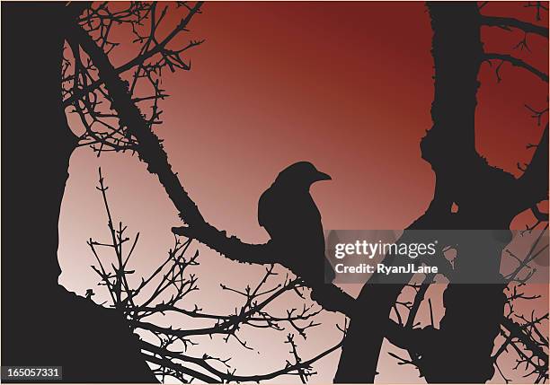 dark crow in tree silhouette vector - looming shadow stock illustrations