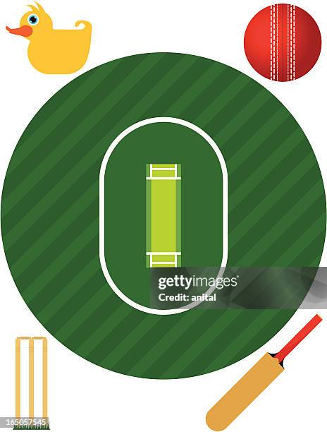 bildbanksillustrationer, clip art samt tecknat material och ikoner med cricket pitch (aerial view) - kricketplan