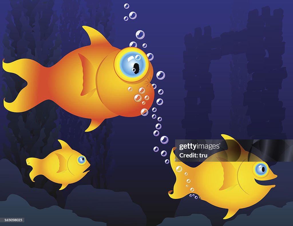 Humorous Fish Gas Bubbles High-Res Vector Graphic - Getty Images