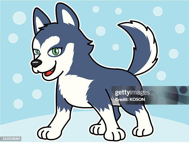 dog cartoon - siberian husky stock illustrations