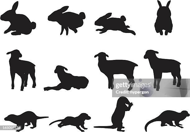animal silhouette collection - otter stock illustrations