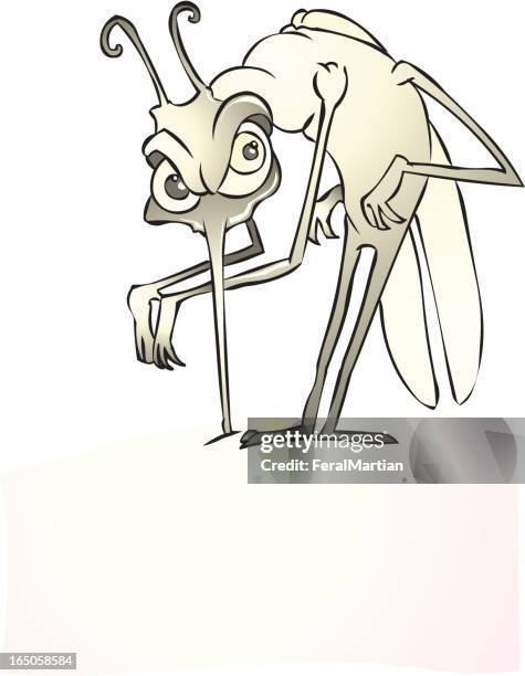 mosquito bite - malaria parasite stock illustrations