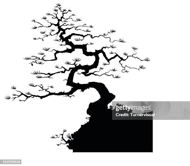 bonsai silhouette - chinese art stock illustrations