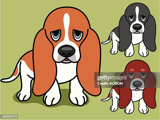 ilustraciones, imágenes clip art, dibujos animados e iconos de stock de perro de dibujos animados - basset hound