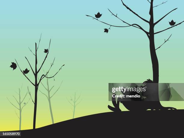 man reading placidly below a tree in an autumn morning - mid autumn stock illustrations