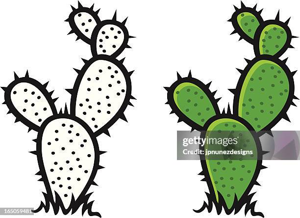 55 Ilustraciones de Cactus Spikes - Getty Images