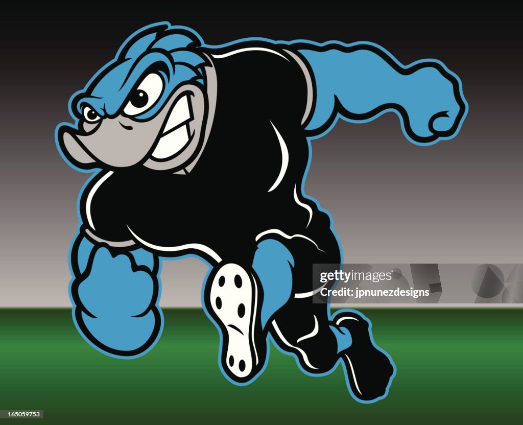 Roadrunner_football
