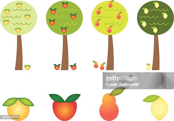ilustrações de stock, clip art, desenhos animados e ícones de ícones de árvore de fruto - limoeiro