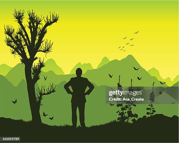 ready in the mountains - awareness and vision stock illustrations