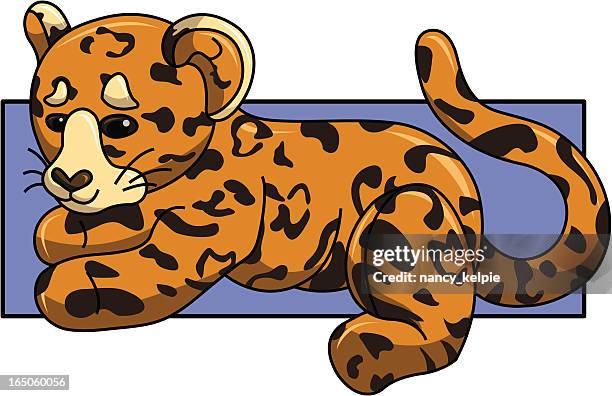leopard - clouded leopard stock illustrations