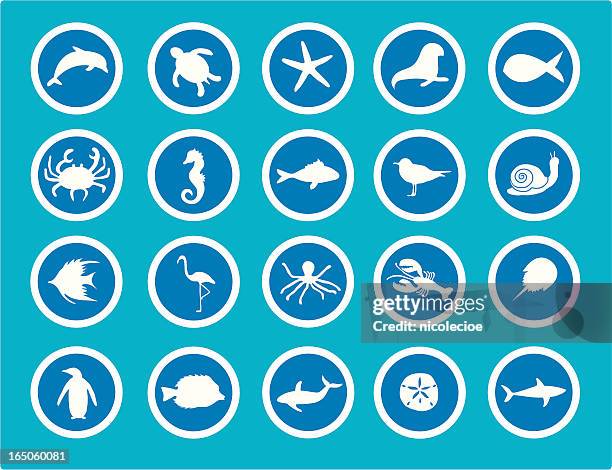 stockillustraties, clipart, cartoons en iconen met sea animal icons - olympic peninsula
