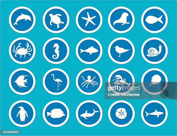 sea animal icons - olympic peninsula stock illustrations