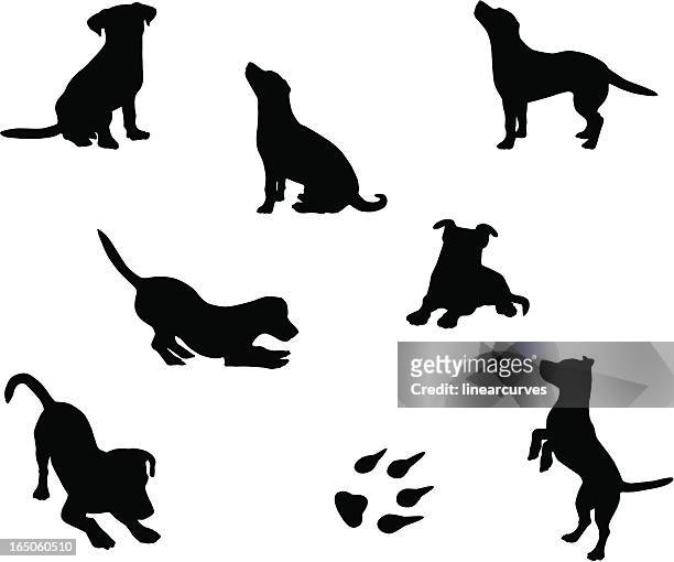 illustrazioni stock, clip art, cartoni animati e icone di tendenza di silhouette cane - stare seduto