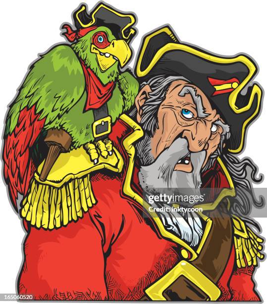 pirate with parrot. - parrot stock illustrations