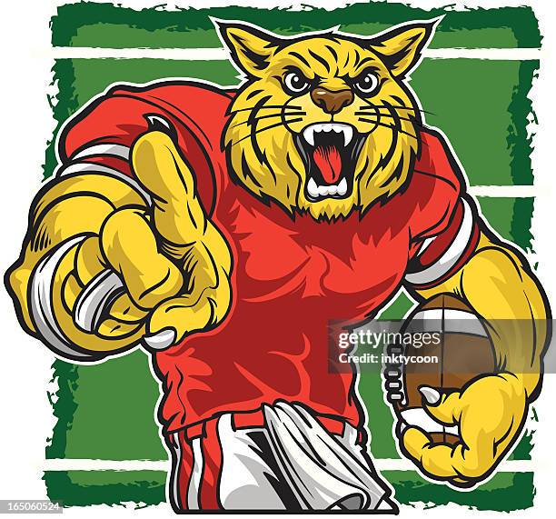 wildcat football - wildcat mascot stock illustrations