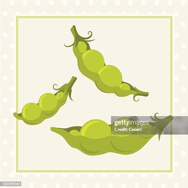like two peas in a pod - like two peas in a pod stock illustrations