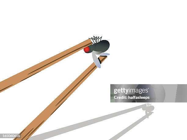 chop stix catching a fly - catching bugs stock illustrations