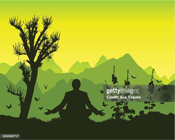 peace in the mountains - man thinking outside stock illustrations