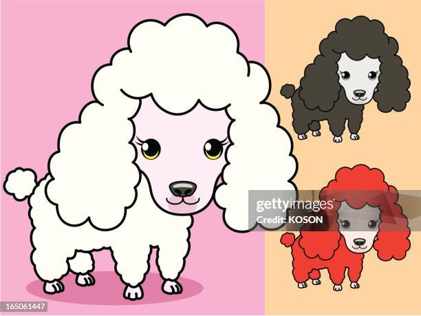 dog cartoon - white poodle stock illustrations