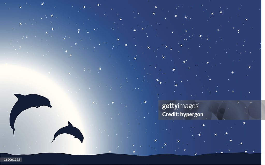 Dolphin Luna