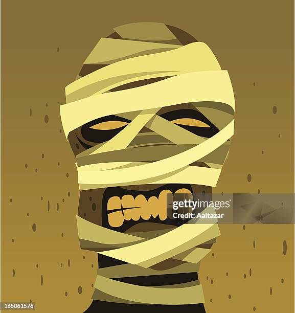 undead mummy - rameses ii stock illustrations