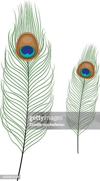 stockillustraties, clipart, cartoons en iconen met peacock feather - light background - pauwenveer