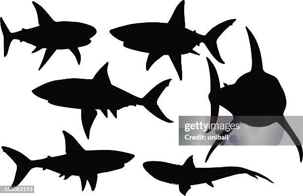 vector silhouettes of various sharks in black and white - fin 幅插畫檔、美工圖案、卡通及圖標