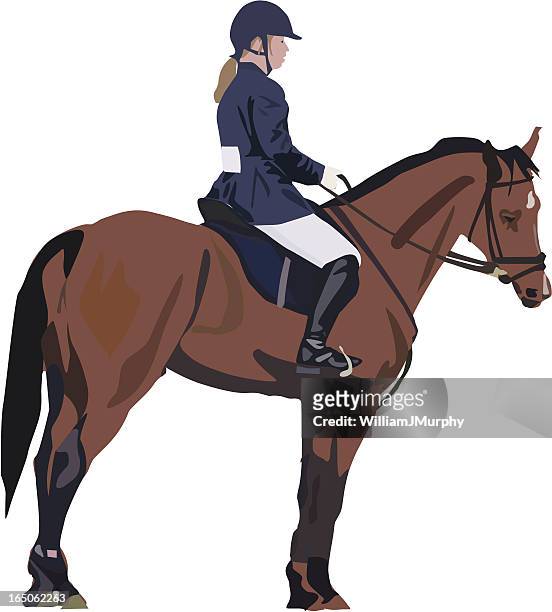 standing to attention (vector drawing, horse, riding, rider) - jodhpur stock illustrations
