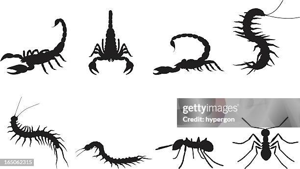 insects silhouettes - scorpio stock illustrations