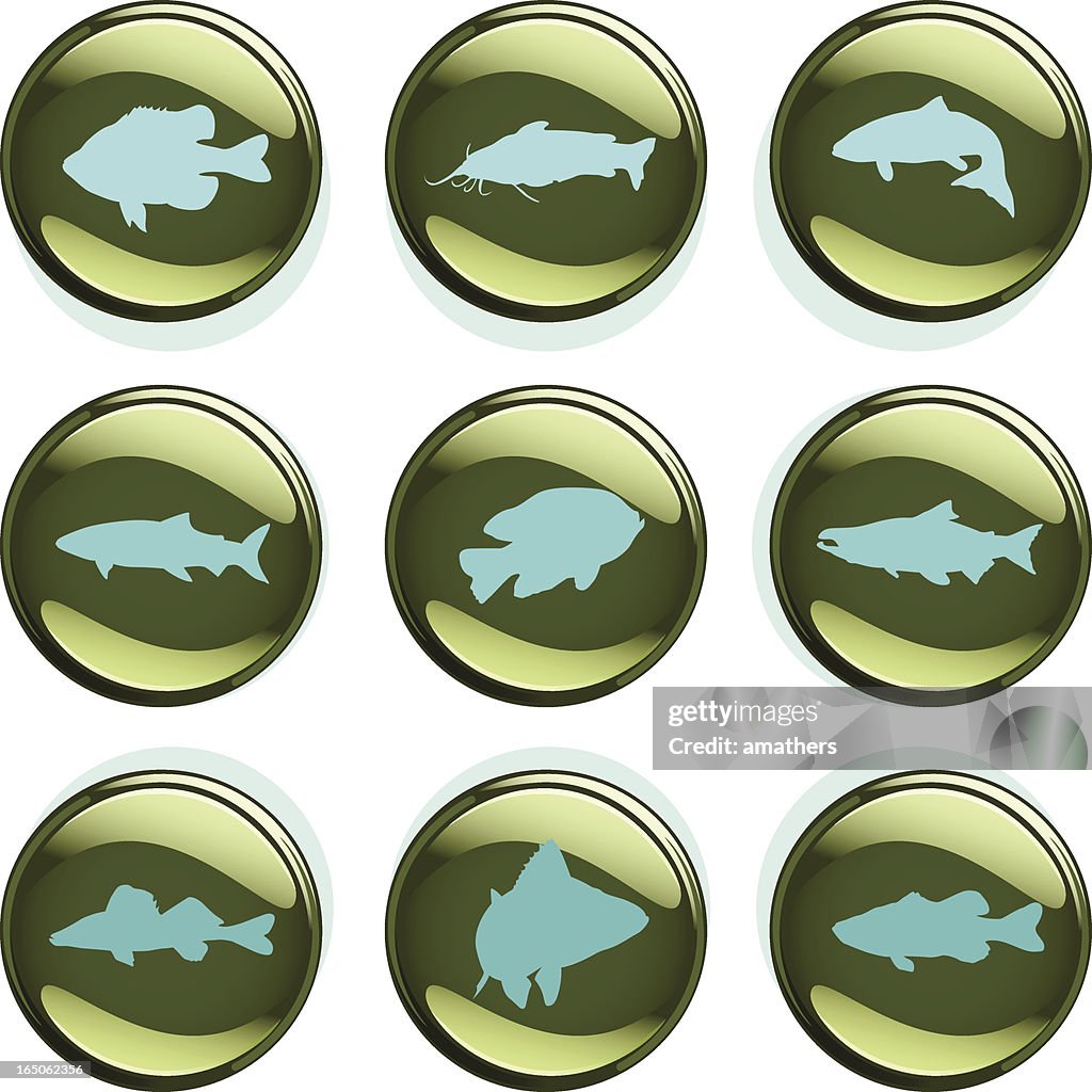 Temperate Climate Fish Badges