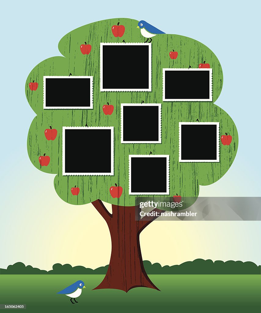 Family Tree Rame Family Tree With Frames at Aaron Levine blog
