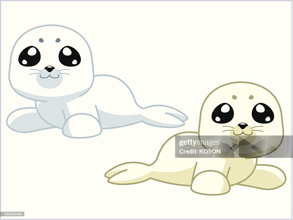 Seal Cartoon