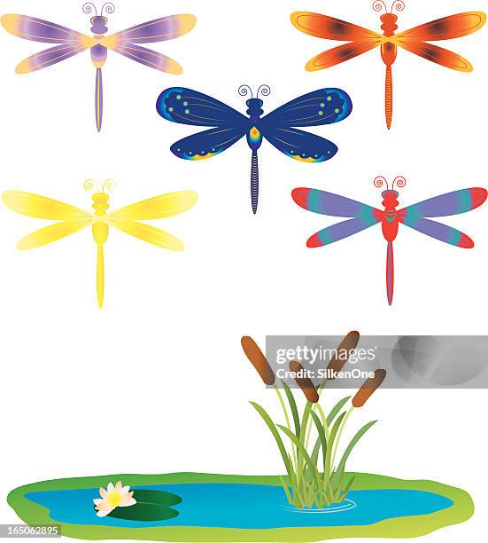 stylized dragonflies - dragonfly wing stock illustrations